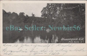 Pine Bush NY - BOTE DE REMOS EN SHAWANGUNK KILL - Postal Condado de Orange - Imagen 1 de 2