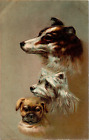 Antique Dog Postcard COLLIE, TERRIER, PUG, A.S.B. (Arthur Schurer), Embossed