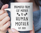Promoted From Cat Mother To Human Mother Funny Mug Pregnancy Announcement Baby