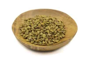 Fenugreek Seeds Organic - High Quality Herb Product - Bild 1 von 1