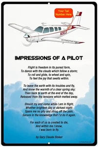 Letrero de metal de avión Impresiones - SIGN-IMPRESSIONS-AIR2552FEA36-OR1 - Imagen 1 de 2