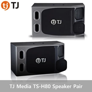 TJ Media TS-H80 Speaker 150W Maximum 250W_ - Picture 1 of 1
