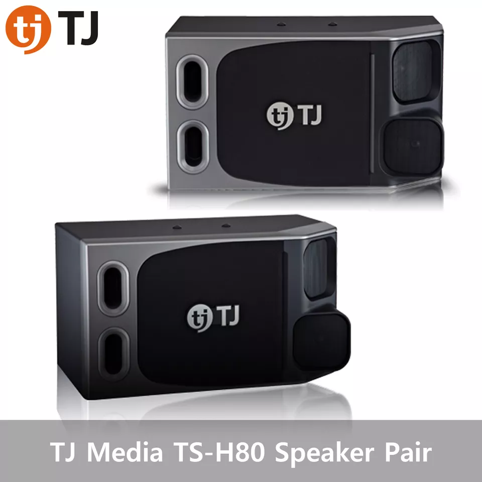 TJ Media TS-H80 Speaker 150W Maximum 250W_ - Image 1 of 1
