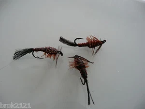 3 x mouches helgramite H14 type nymphe larve fliegen mosca fly - Imagen 1 de 1