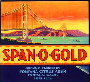 Fontana Span-O-Gold San Francisco Orange Citrus Fruit Crate Label Art Print - Imagen 1 de 1