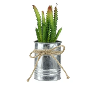 Northlight 7" Tropical Ombre Mini Verde Artificial en Lata Maceta Cordel Arco - Imagen 1 de 3