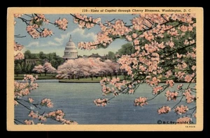 Vista of Capitol Through Cherry Blossoms, Washington DC, Unp - Bild 1 von 2