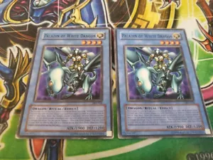 Yugioh - Paladin of White Dragon SKE-024 LP Unlimited Common X2 - Picture 1 of 2