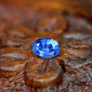 Certified Natural Ceylon Cornflower Blue Sapphire 0.37ct VVS Clarity Oval 4x3mm - Picture 1 of 4