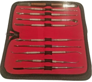 DENTAL TOOLS LECRON WAX CARVER CARVING 10 PCS LABORATORY SCULPTURE TOOLS KIT - Foto 1 di 2