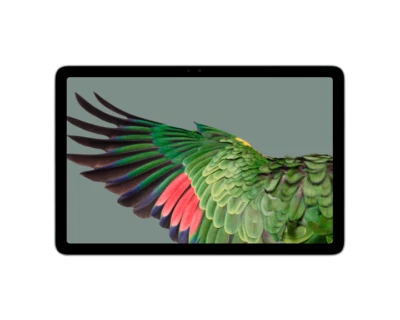 DeGoogled Pixel Tablet Privacy tablet CalyxOS GrapheneOS DeGoogled - Image 1 of 2