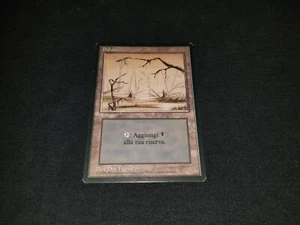 MTG 1x Revised basic land LP Italian FBB Swamp (High branch) - ships w/ trackin - Picture 1 of 2