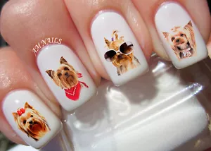 Yorkshire Terrier Nail Art Stickers Transfers Decals Set of 50 - A1295 - Picture 1 of 2