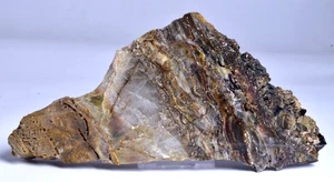 MICROBIAL MAT, Dresser Fmt, Stromatolite, North Pole Dome 205 grams, S162 - Imagen 1 de 5