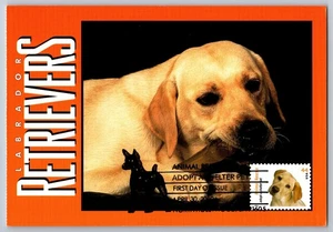 #4454 Adopt a Pet Dog Yellow Labrador FDC Maxi Card - Picture 1 of 2