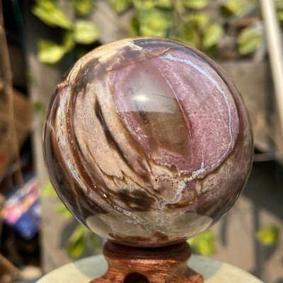 405g Natural petrified wood sphere Rough silicified wood ball specimen healing - Image 1 of 4