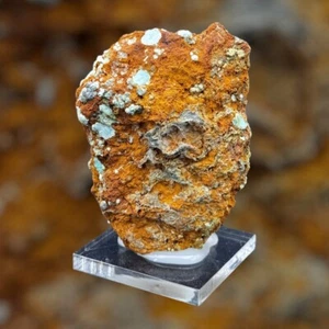 VARISCITA Palazuelo de las cuevas Zamora ESPAÑA MINERALES COLECCION 7x5x1cms - Bild 1 von 7