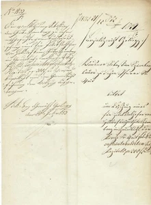 192 JAHRE ALTE HANDSCHRIFT AUS 1833- FORMAT 30/21 CM - Zdjęcie 1 z 1