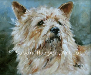 Norwich Terrier Signed Dog Print by Susan Harper Unmounted - Picture 1 of 2