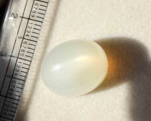 Piedra lunar impresionante cabujón ovalado ojo de gato blanco 23,80 quilates piedra preciosa natural suelta - Imagen 1 de 3