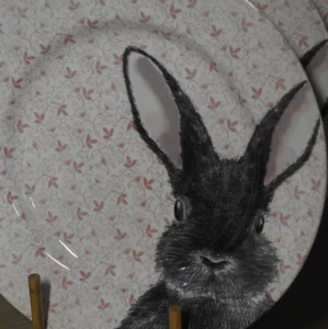 4 ROYAL STAFFORD CHINTZ RABBIT PINK Bunny DINNER PLATES 11" NEW DISCONTINUED! - Picture 1 of 3