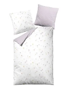 Dormisette Cotton Renforce Bettwäsche 135x200 Schirmflieger Wende flieder 2862-6 - Bild 1 von 2