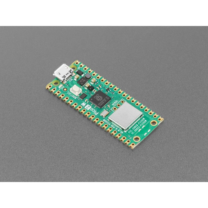 Raspberry Pi Pico 2W - Photo 1/1