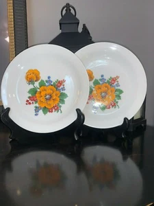 Placas de flores brillantes de porcelana CP Colditz ~ República Democrática Alemana RARAS #63 - Imagen 1 de 7