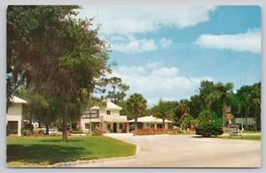 Cartolina Cromata Silver Springs Motel Court Florida - Foto 1 di 2