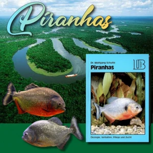 PIRANHAS Lebensraum Ökologie Verhalten Aquaristik Haltung Pflege Zucht (Rar/NEU) - Bild 1 von 16
