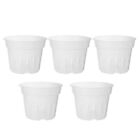 Clear Orchid Planters with Observation Holes for Optimal Plant Health Set of 5