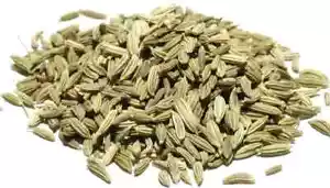 100g Fennel Seeds Whole Dried A Grade Premium Quality Free P & P - Picture 1 of 1