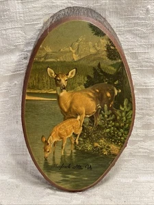 Targa da parete vintage cervo e cerbiatto al lago albero stampa bordo vivo Hogback Mt, Vt-8187 - Foto 1 di 7