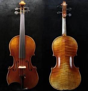 Meraviglioso maestro violino fatto a mano dopo Stradivari 1716 Messia violino ricco caldo - Foto 1 di 14
