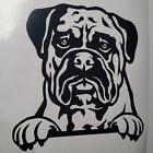 1x Bull Mastiff Hund Aufkleber Vinyl Aufkleber Glas Fenster Handwerk Van Auto 5,5x5,5 Zoll