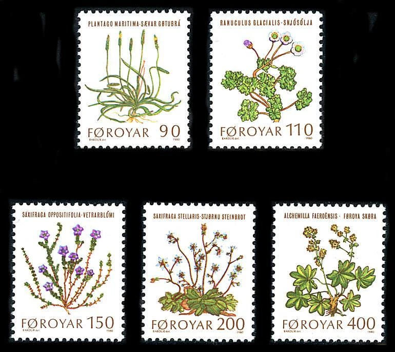 Faroe Islands: 1980 Native Wildflowers (48-52) MNH - Image 1 of 1