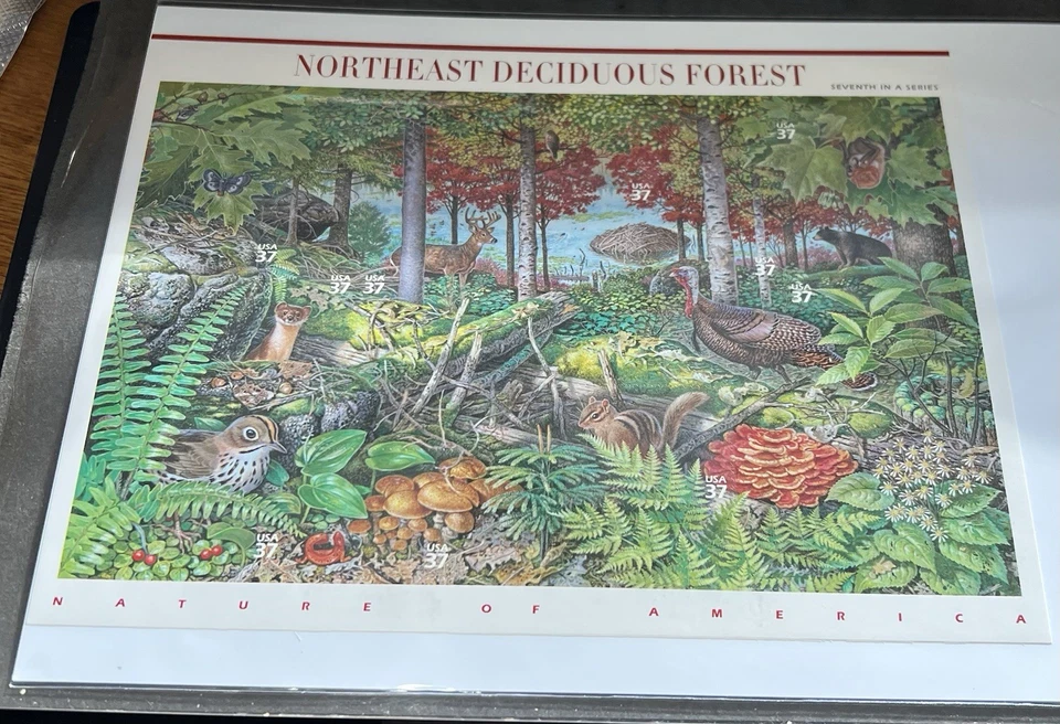 US Scott #3899 2005 Northeast Deciduous Forest 37c Sheet of 10 Stamps at Face!! - Image 1 of 1
