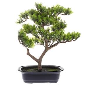 Earth Worth Artificial Plant 14.5"H Pine Bonsai W/ Ceramic Pot in Green/Black