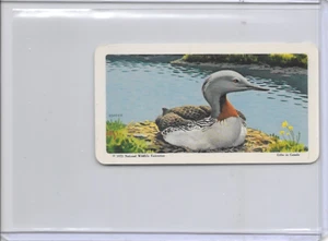 1973 Red-Throated Loon National Wildlife Federation The Arctic Card 37 Series 16 - Imagen 1 de 2