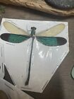Real Green Dragonfly Neurobasis chinensi Indonesia Spread and Ready to Mount A1 