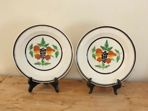 Rare paire d'assiettes Forges les eaux anciennes décor de fruits - Imagen 1 de 6