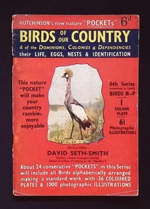 Hutchinson's New Nature "Pockets" - Birds of our Country booklet, 6th Series N-P - Picture 1 of 5
