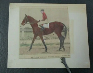 Vintage Print of American Racehorse TWENTY GRAND (1928-1948), Racing HOF - Picture 1 of 2