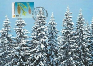Snowy Winter Spruce Cone Forest Copenhagen Stamp Show Finland Mint Maxi FDC 2002 - Picture 1 of 1