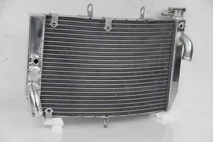 Brand New Radiator: Honda CBR-600F4i CBR600F 01-2006 05 04 03 02 USA Free Ship - Picture 1 of 2