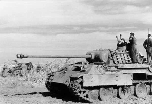 WW2 WWII Photo German Panther Tank Eastern Front Wehrmacht World War Two /4263 - Picture 1 of 1