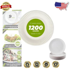 Versatile 9" Disposable Paper Plates for Picnics & Birthdays - 1,200 Piece Pack - Picture 1 of 9