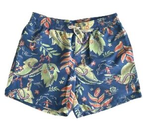 Polo Ralph Lauren Mens Designer Sunset Beach 5 1/2 Inch Traveler Board Shorts  
