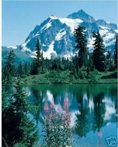 Mount Shuksan Washington Fine Art Landscape Print Mountains Trees Lake - Bild 1 von 1