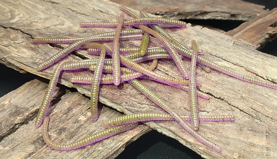 CHAMELEON (20) TROUT WORM BASS CRAPPIE - High Hopes Baits* — 第 1/1 张图片